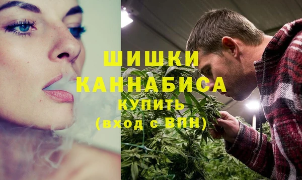 стаф Балахна