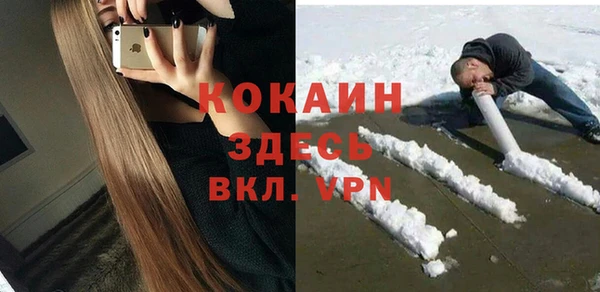 стаф Балахна