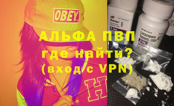 стаф Балахна